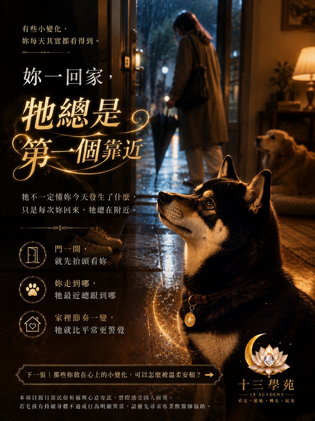 毛孩情緒觀察