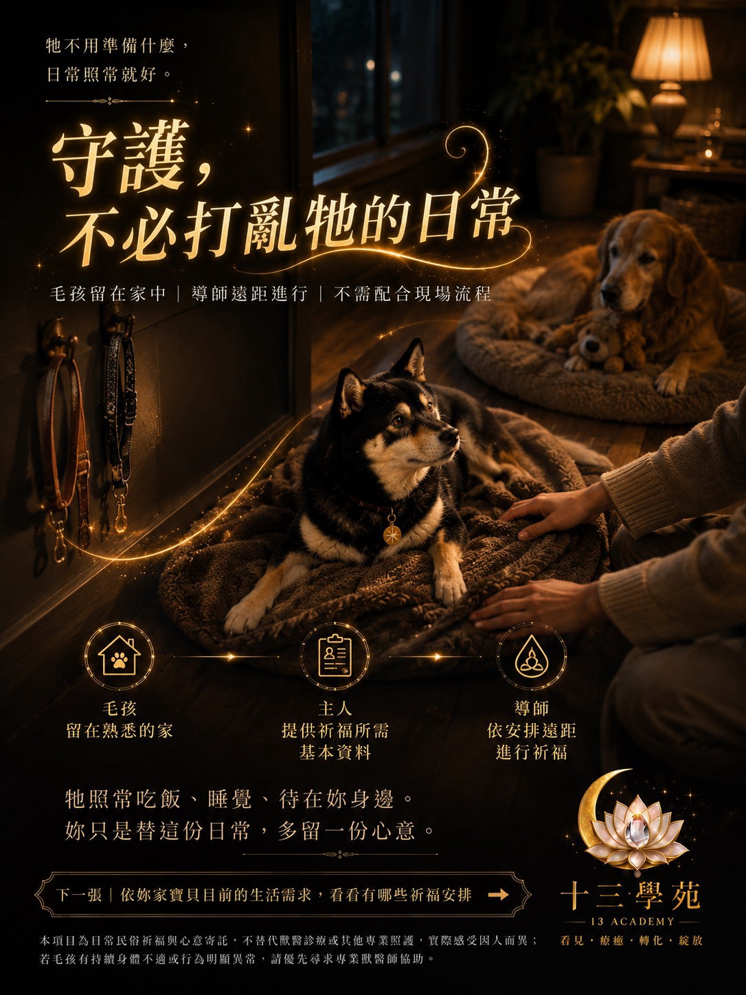 毛孩祈福儀式流程