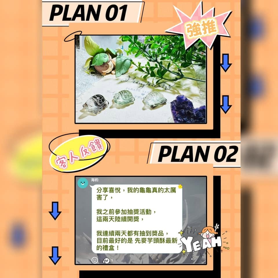 客人分享